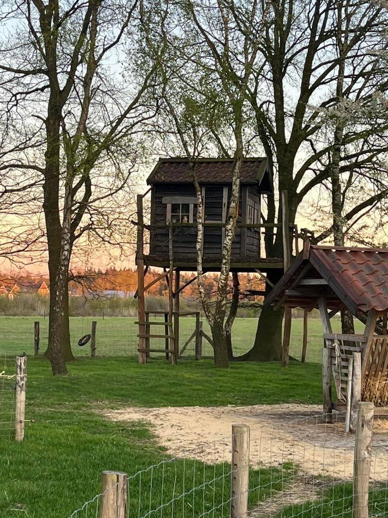Boomhut, Ophalen, Zo goed als nieuw, Hout