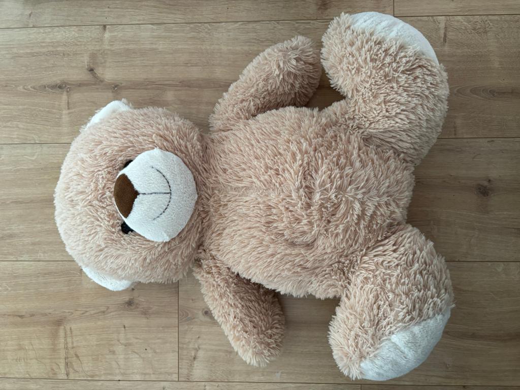 Grote zachte teddybeer - knuffelbeer, Ophalen, Gebruikt, Beer, Middelgroot (20 tot 80 cm)