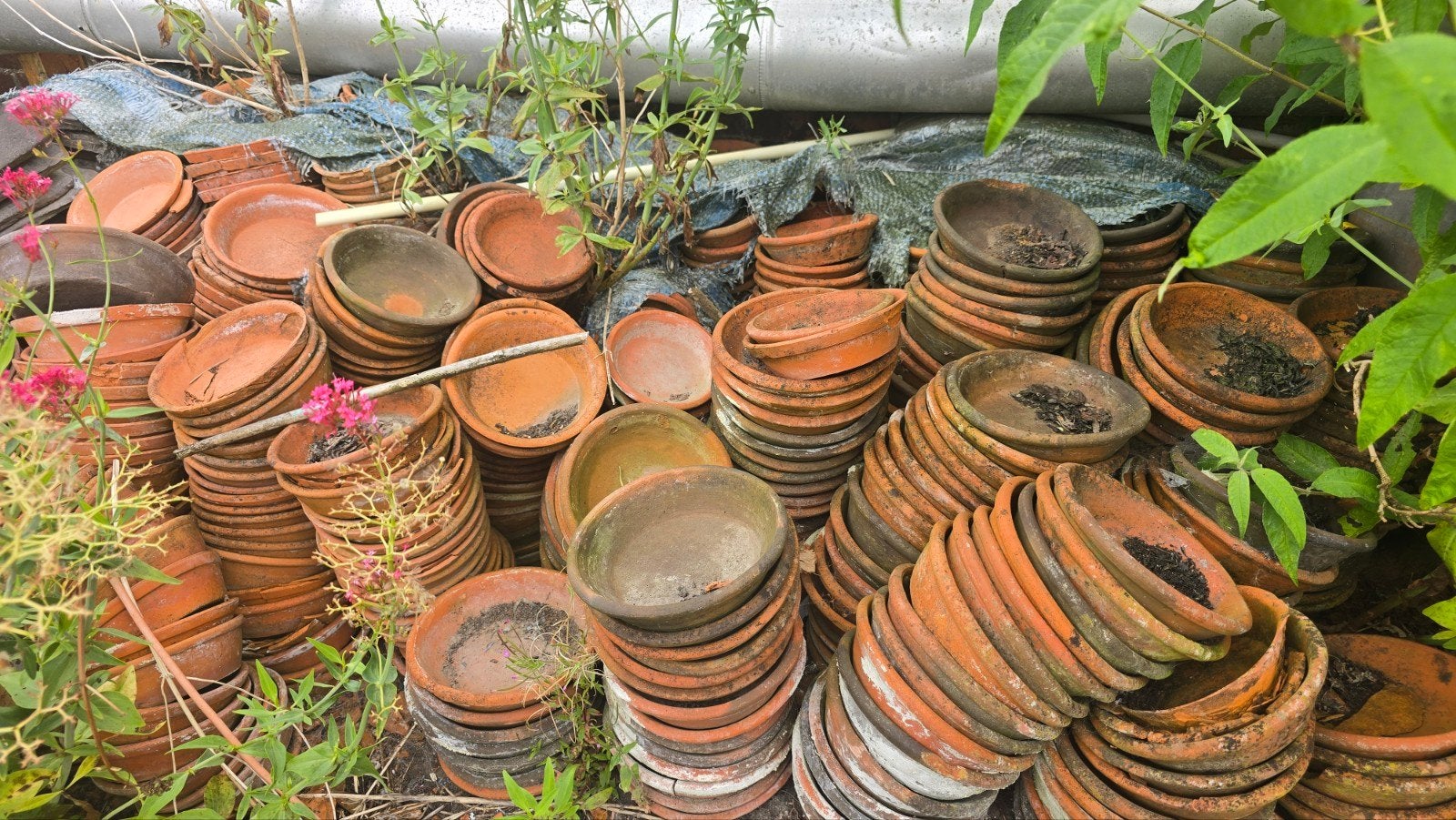 Terracotta plantenschotels - zelf uitzoeken, Ophalen, Gebruikt, Rond, Terracotta