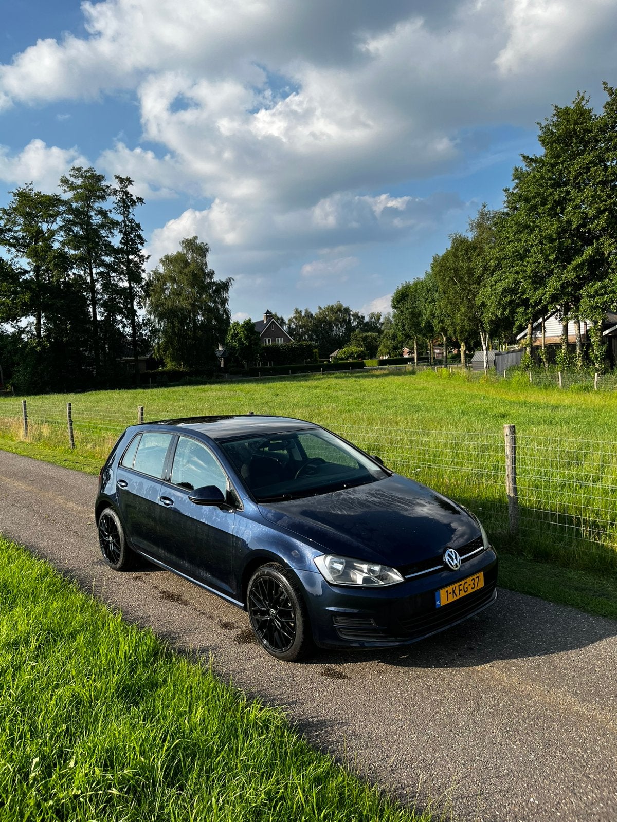 Volkswagen Golf 1.2 TSI 1e eigenaar! 2013 Blauw, Voorwielaandrijving, Stof, Zwart, 4 cilinders