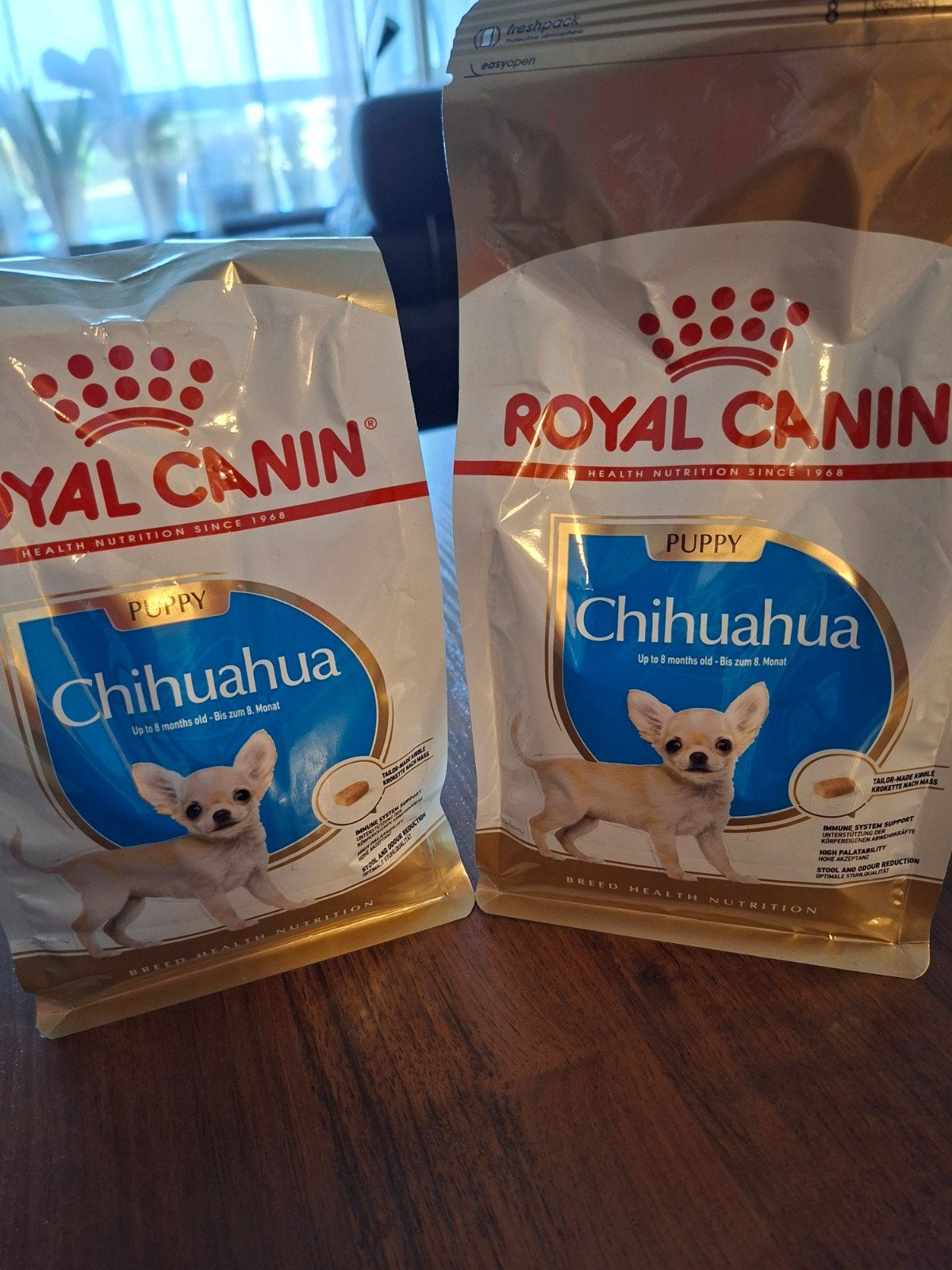 chihuahua voeding, Ophalen, Hond
