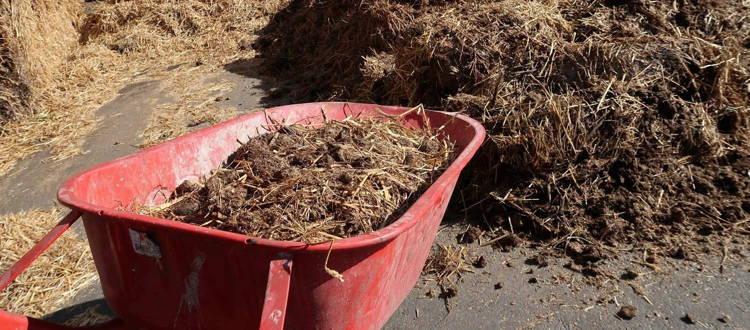 Paarden mest voor tuin en planten, Ophalen, Compost