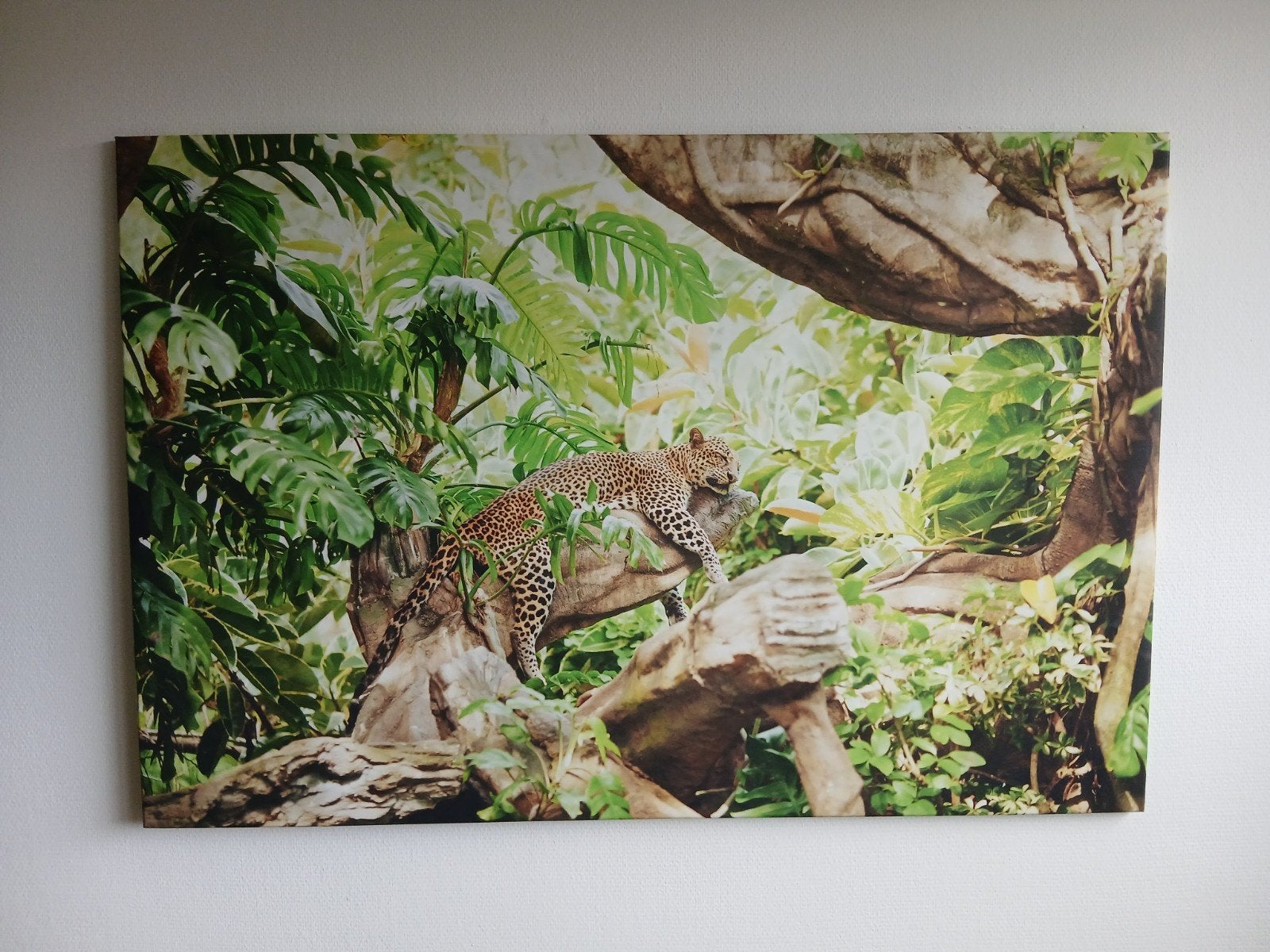 Canvas schilderij luipaard in jungle 120x80 cm, Huis en Inrichting, Woonaccessoires | Schilderijen, Tekeningen en Foto's, Ophalen