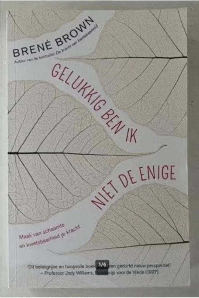 Gelukkig ben ik niet de enige - Brené Brown, Overige typen, Ophalen of Verzenden, Zo goed als nieuw, Overige onderwerpen