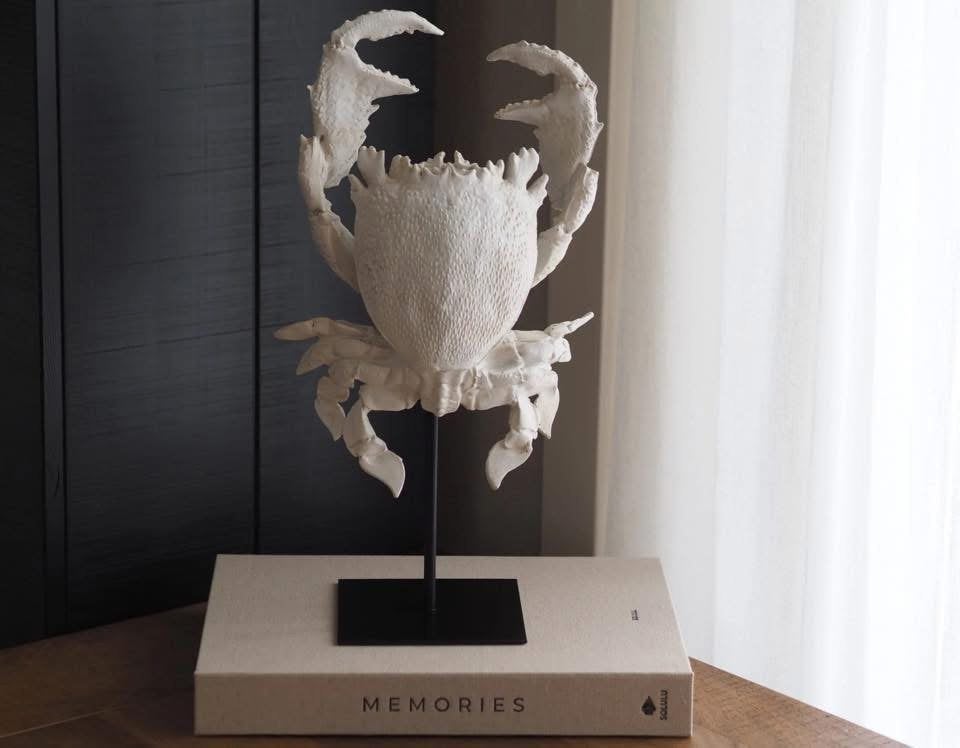 Krab ornament, Ophalen of Verzenden, Nieuw