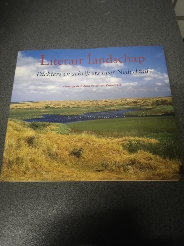 Literair landschap, Ophalen of Verzenden, Zo goed als nieuw