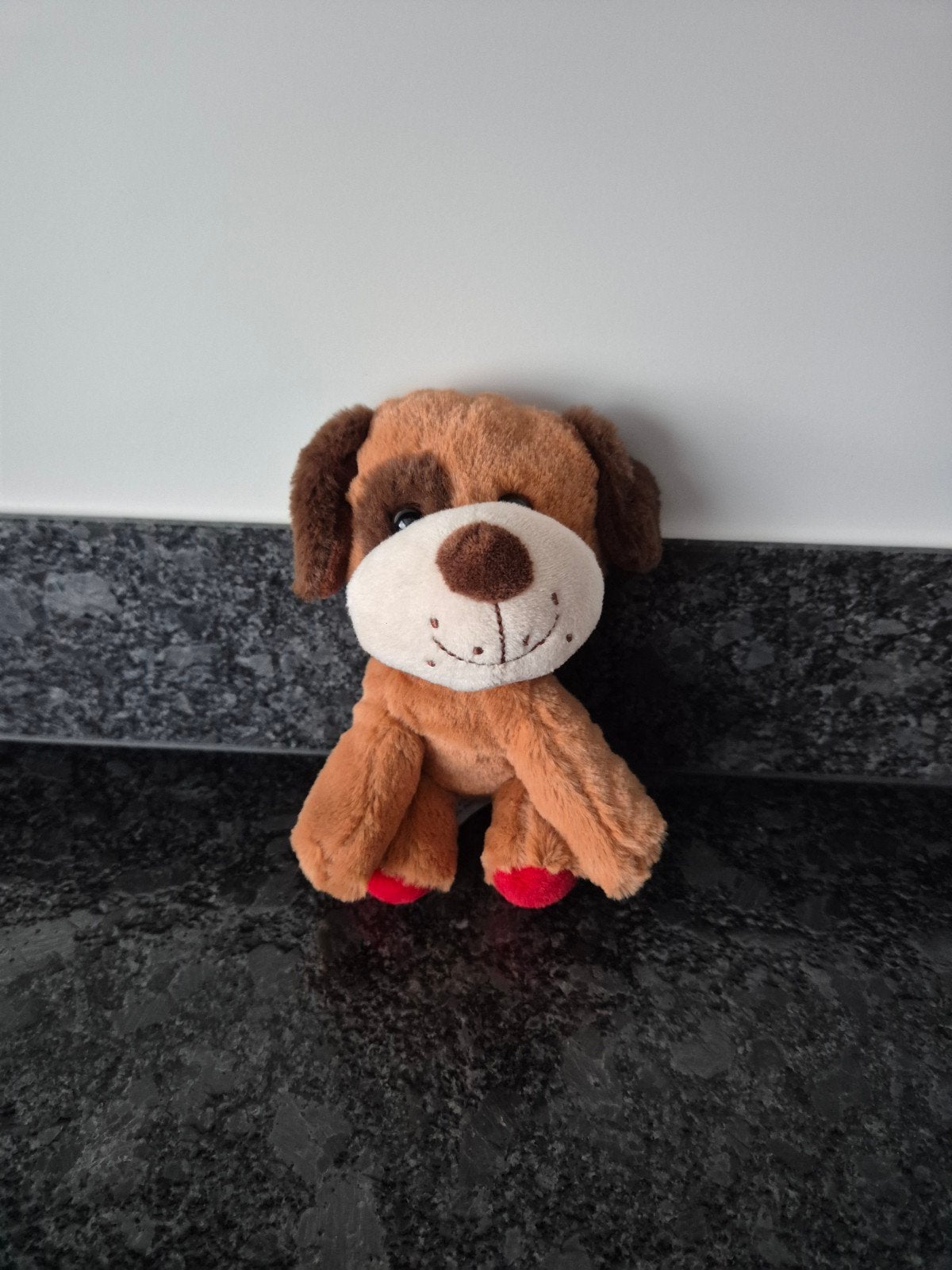 Evora - Knuffel Hondje, Ophalen of Verzenden, Zo goed als nieuw, Hond