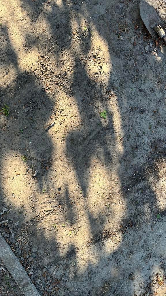 Gratis Schoon zwart zand, Tuin en Terras, Zand, Ophalen, Zo goed als nieuw, Overige typen