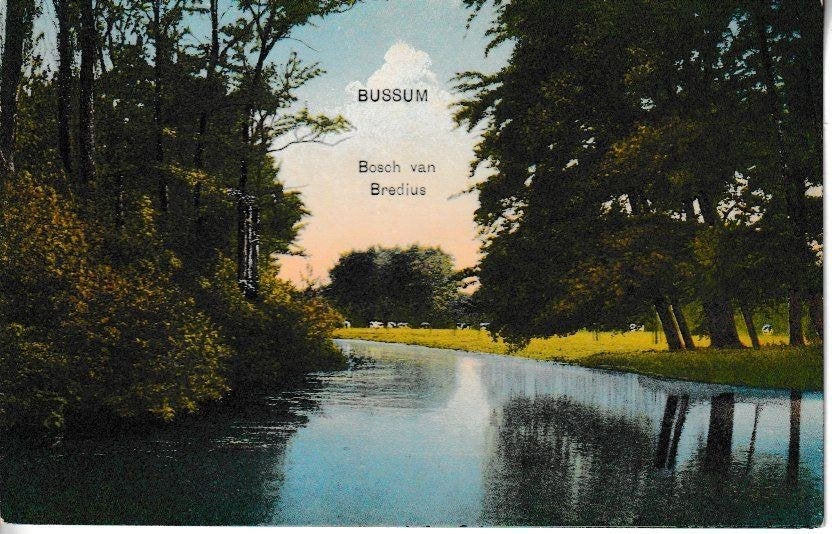 BUSSUM - BOSCH van BREDIUS, Ophalen of Verzenden, 1920 tot 1940, Ongelopen, Natuur