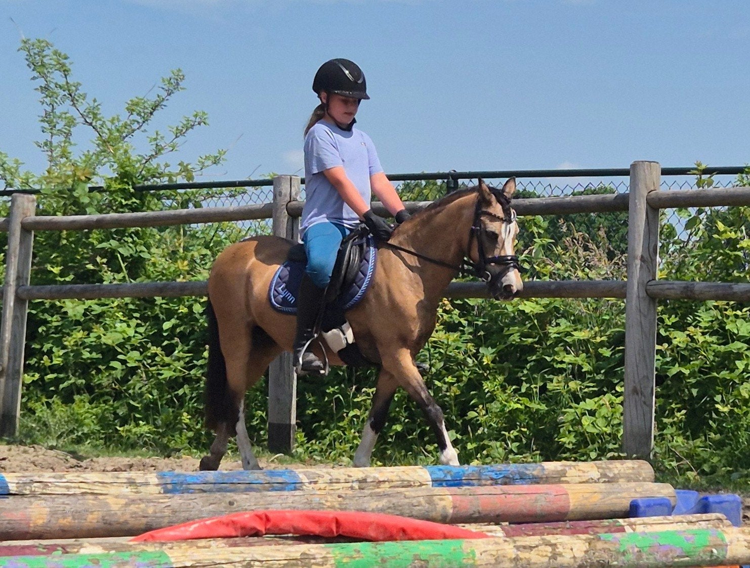 Bijzondere Welsh B-pony | Sanne| Valk |, Dieren en Toebehoren, Pony's, Merrie, B pony (1.17m tot 1.27m), 11 jaar of ouder, Recreatiepony