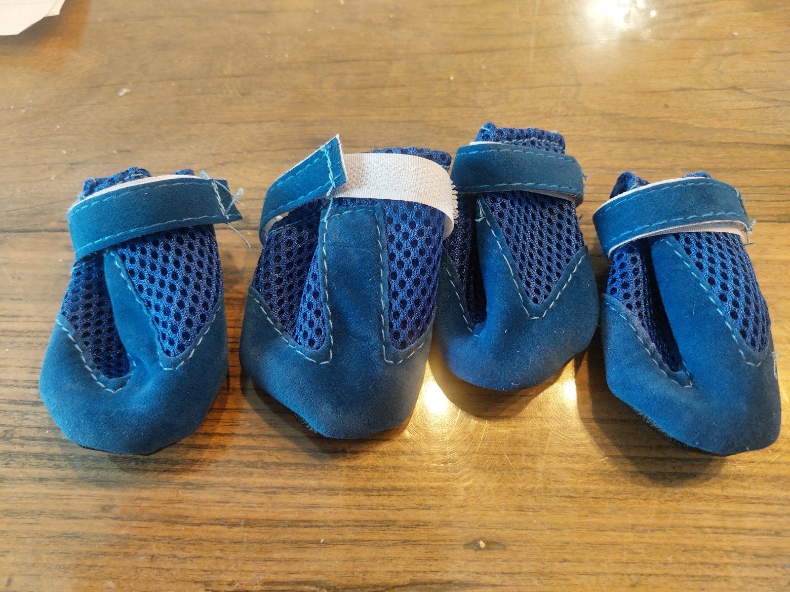 Schoentjes voor de hond, Ophalen of Verzenden, Nieuw