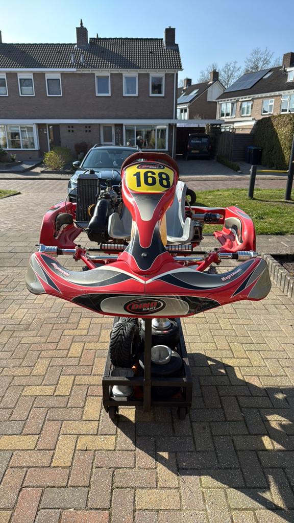 Dino kart magnussen editie (ROLLER FRAME), Sport en Fitness, Karting, Ophalen, Zo goed als nieuw, Kart