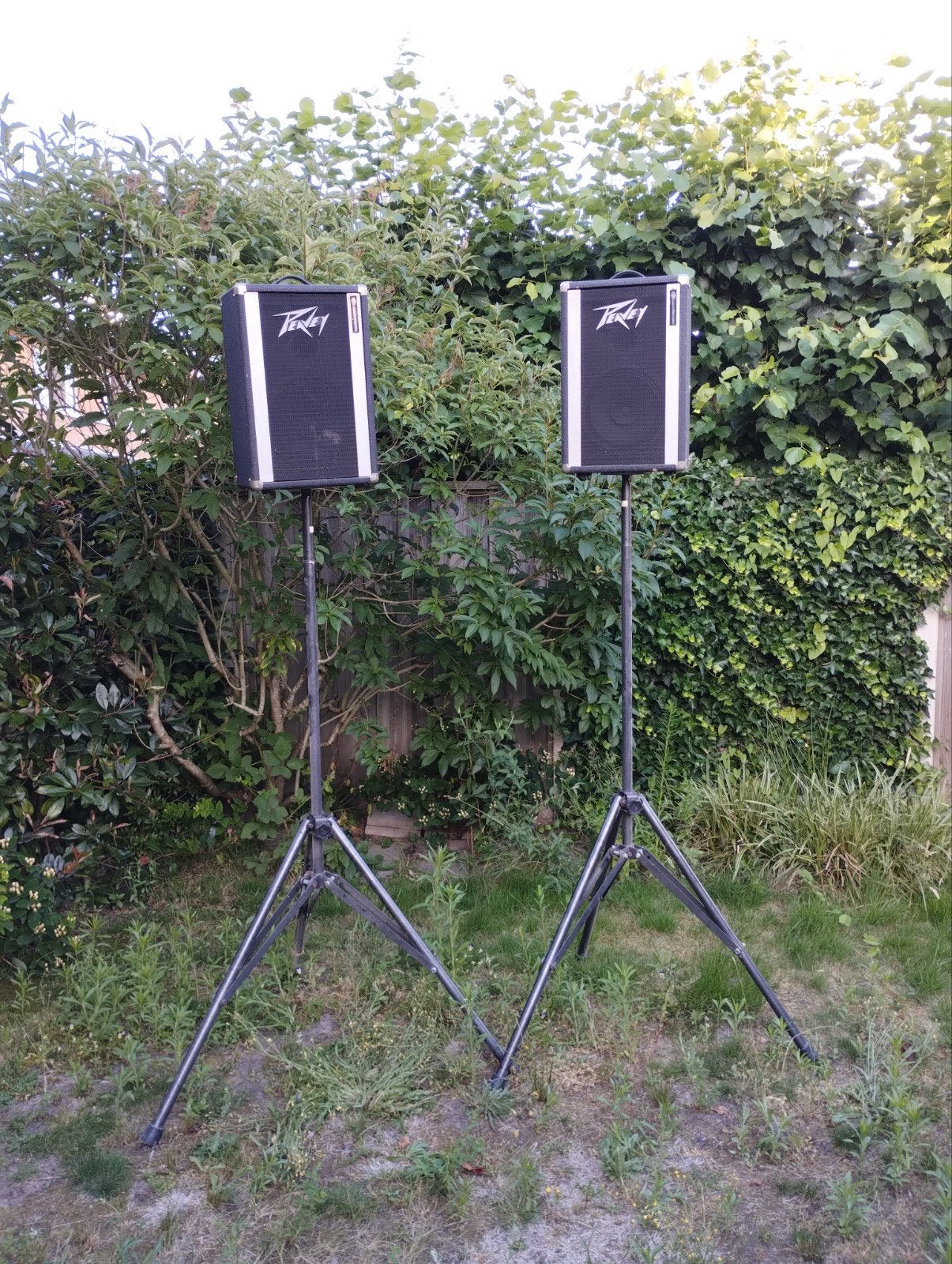 Peavey 10" passieve speakers op statief, Gebruikt, Party speaker, 60 tot 120 watt, Ophalen