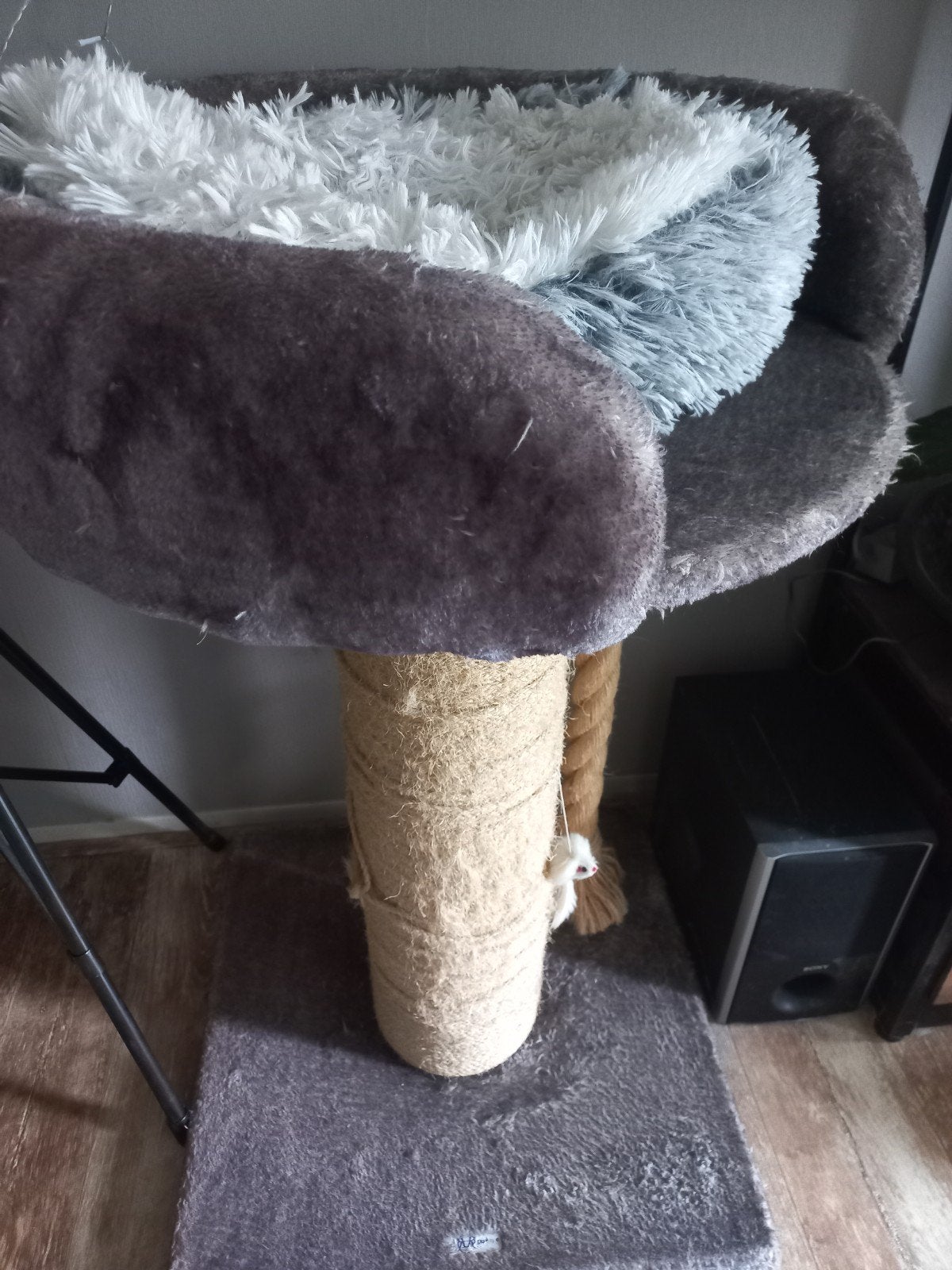 Te koop: kattenkrappaal, Ophalen of Verzenden, Krabpaal