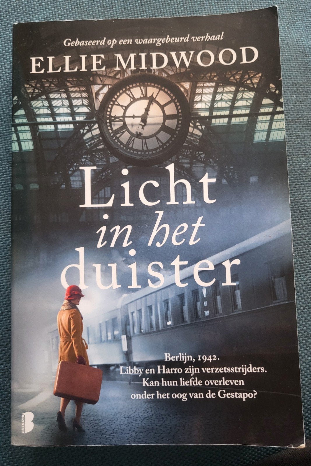 Licht in het Duister. van Ellie Midwood, Boeken, Ophalen of Verzenden, Gelezen, Ellie Midwood