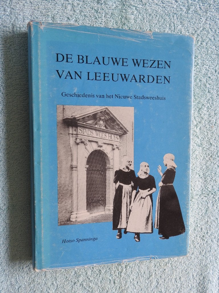 De Blauwe Wezen van Leeuwarden - Nieuwe Stadsweeshuis, Boeken, Ophalen of Verzenden, Gelezen