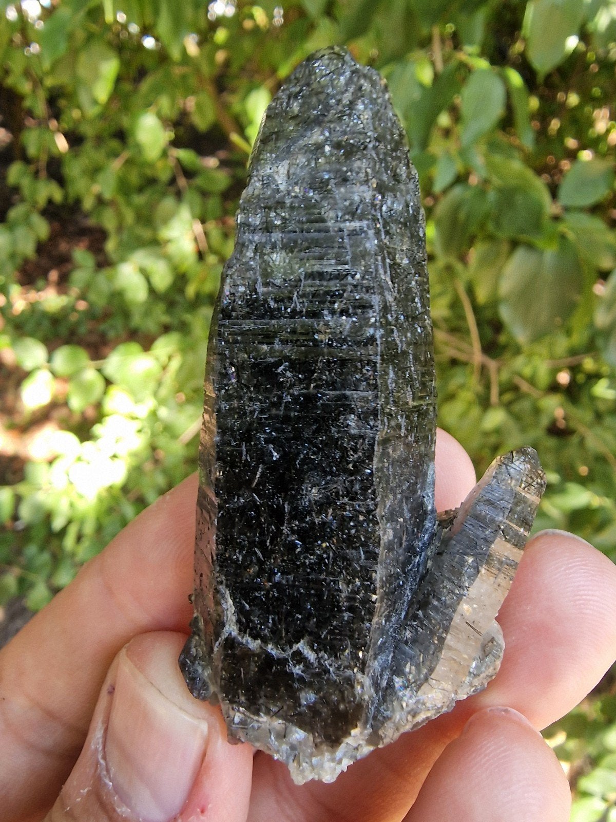 Toermalijn Kwarts Kristal N411 - Pakistan, Csj, Nieuw, Ophalen of Verzenden, 2263cc