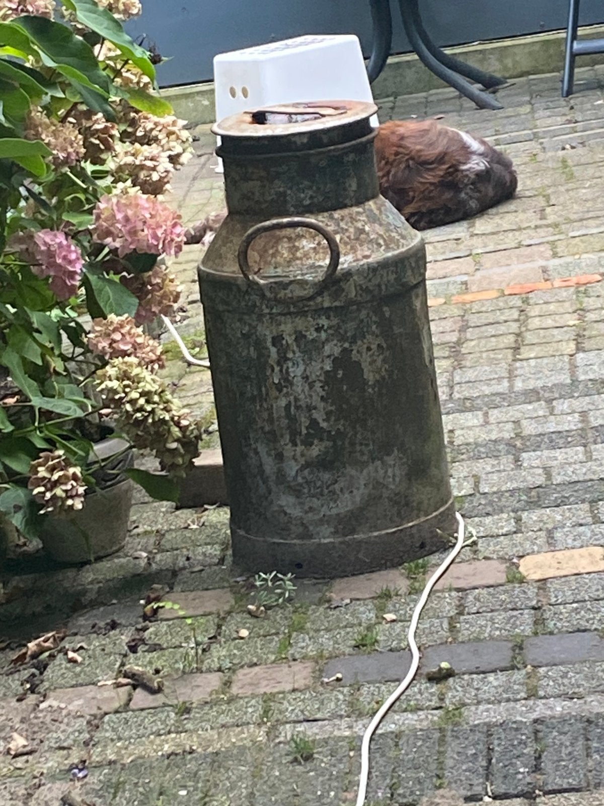 Zeer oude melkbus, Ophalen of Verzenden, Zo goed als nieuw