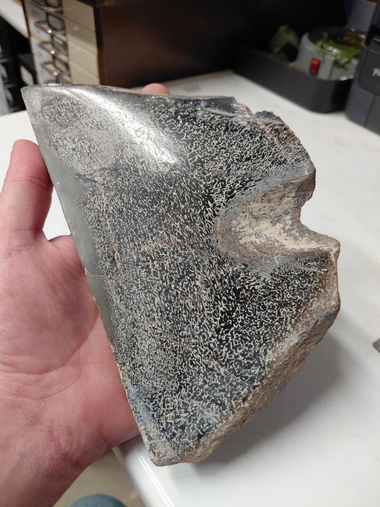 19x11cm grote plak van geslepe. Dinosaurus bot, Ophalen of Verzenden
