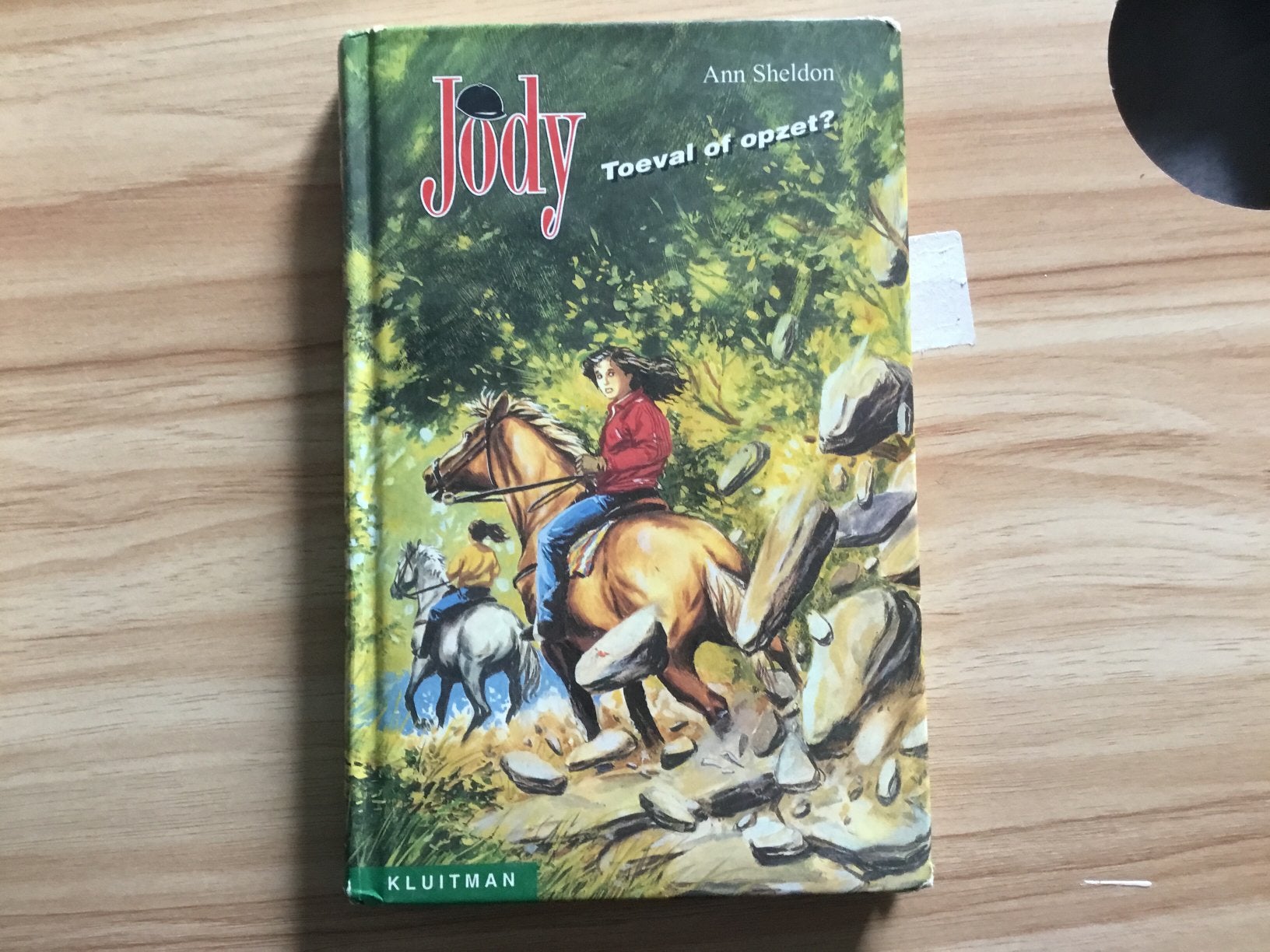 Boek jody toeval of opzet?, Ophalen of Verzenden, Zo goed als nieuw