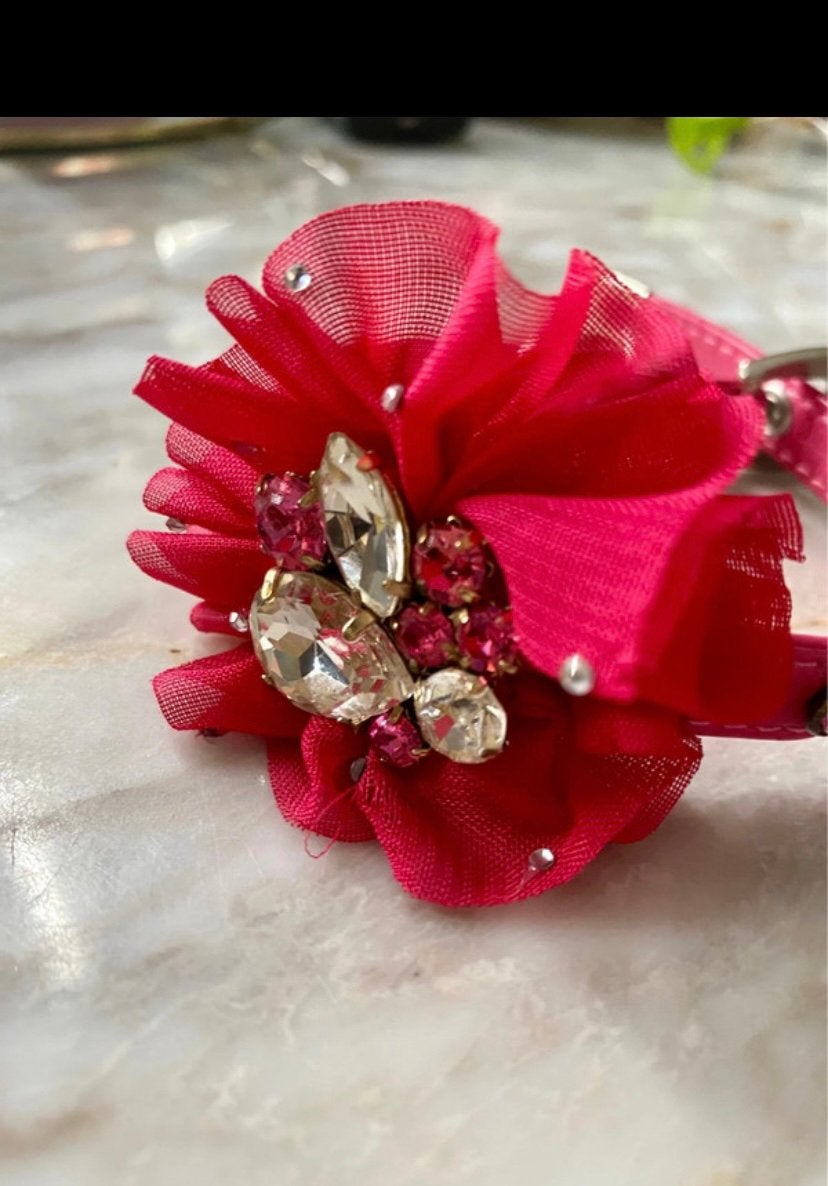 Halsband trilli tutti brilli met swarovski chihuahua hond, Ophalen of Verzenden, Nieuw