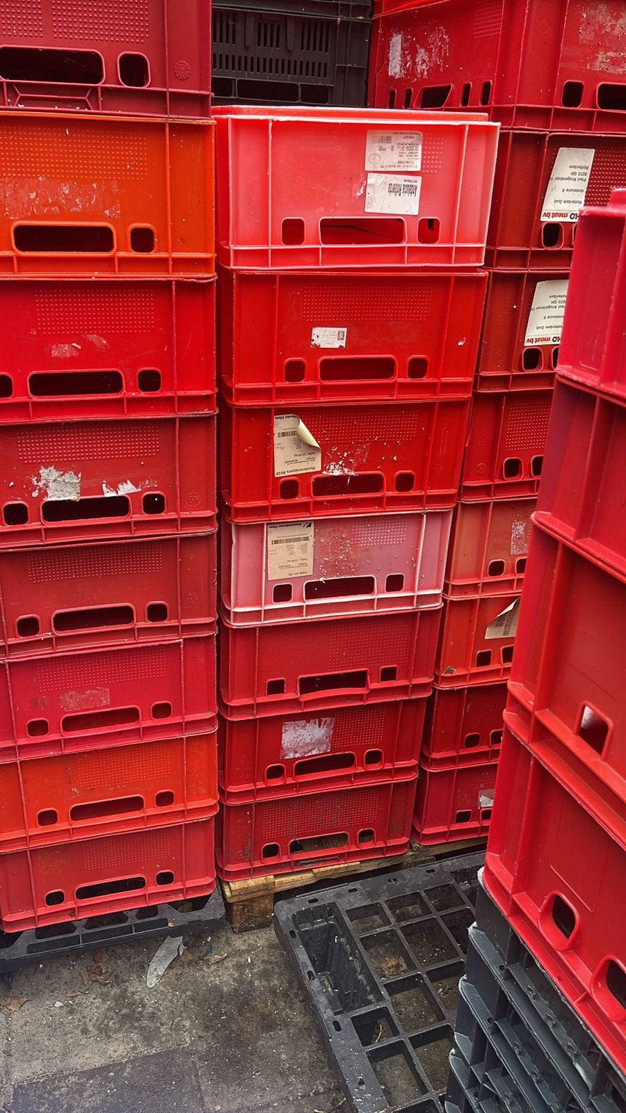 Kratten, 40 tot 60 cm, 50 tot 75 cm, Minder dan 35 cm, Ophalen of Verzenden