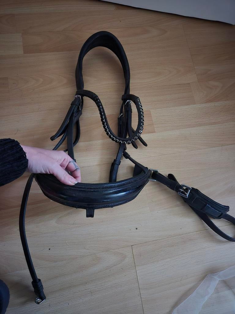 Hoofdstel, Dieren en Toebehoren, Paarden en Pony's | Hoofdstellen en Tuigage, Ophalen of Verzenden, Nieuw, Dressuur