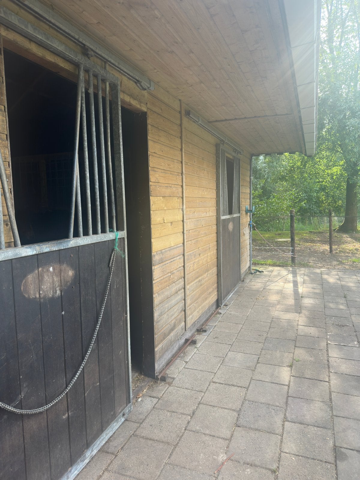pensionplek beschikbaar, Dieren en Toebehoren, Stalling en Weidegang, Weidegang