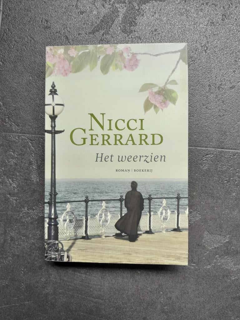 Nicci Gerrard - Het weerzien (Roman), Ophalen of Verzenden, Zo goed als nieuw, Nicci Gerrard, Nederland