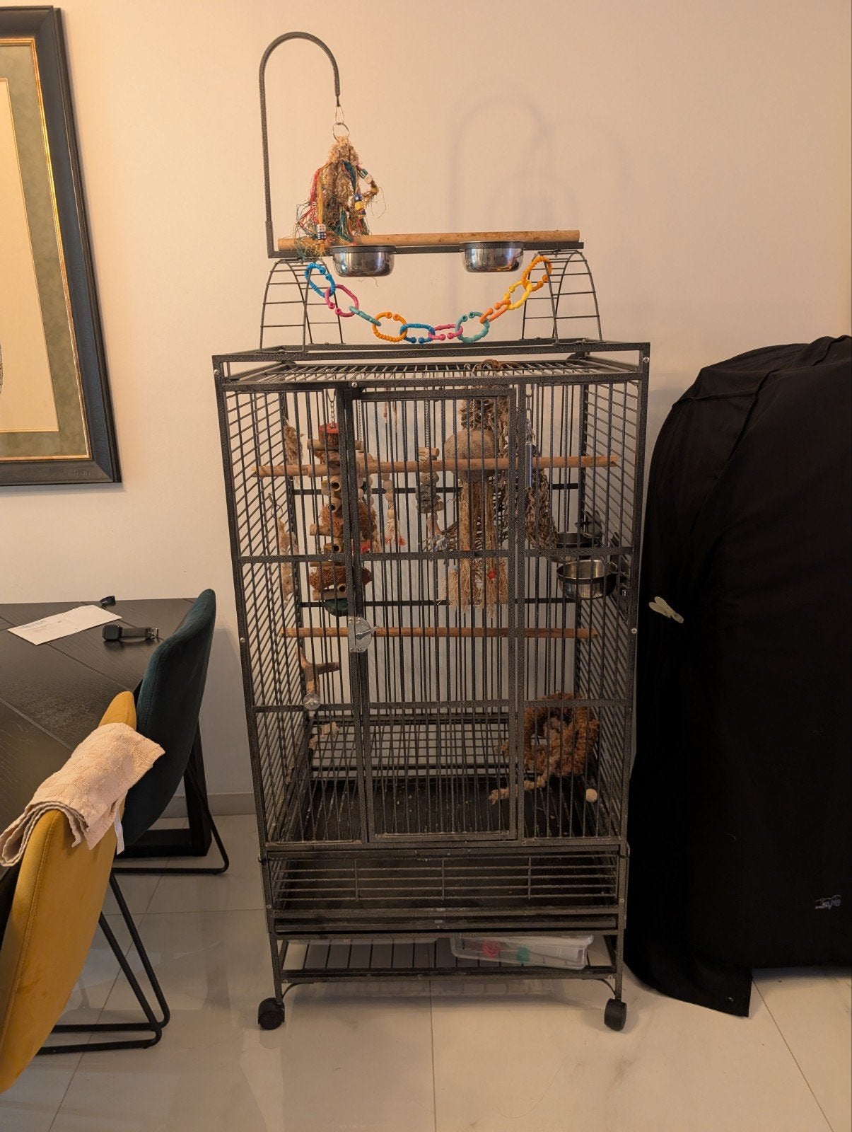 strong sofia kooi papegaaienkoi vogelkooi, Ophalen, Gebruikt, Metaal, Vogelkooi
