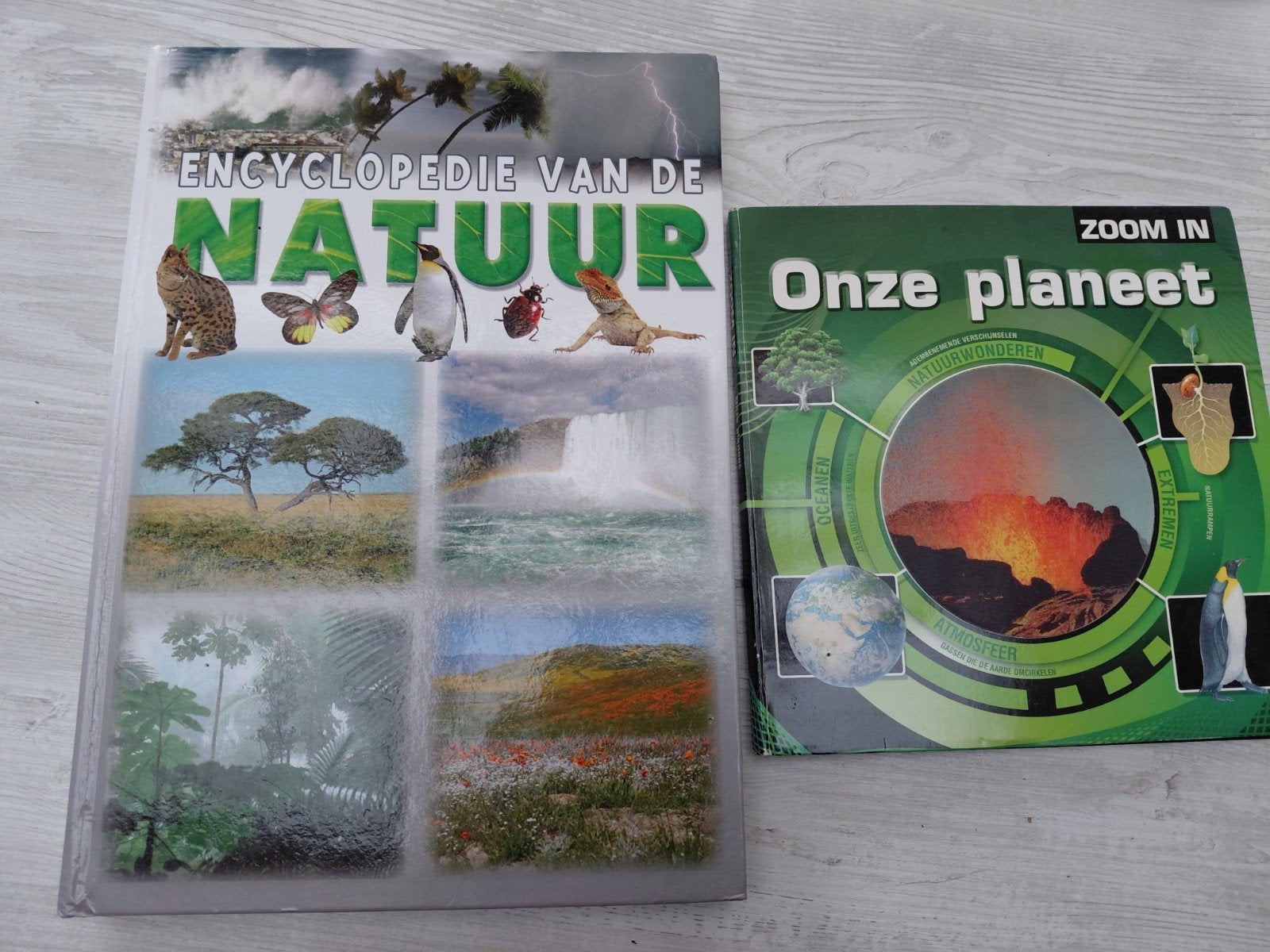 2 natuurboeken: Encyclopedie van de Natuur & Onze Planeet, Boeken, Ophalen