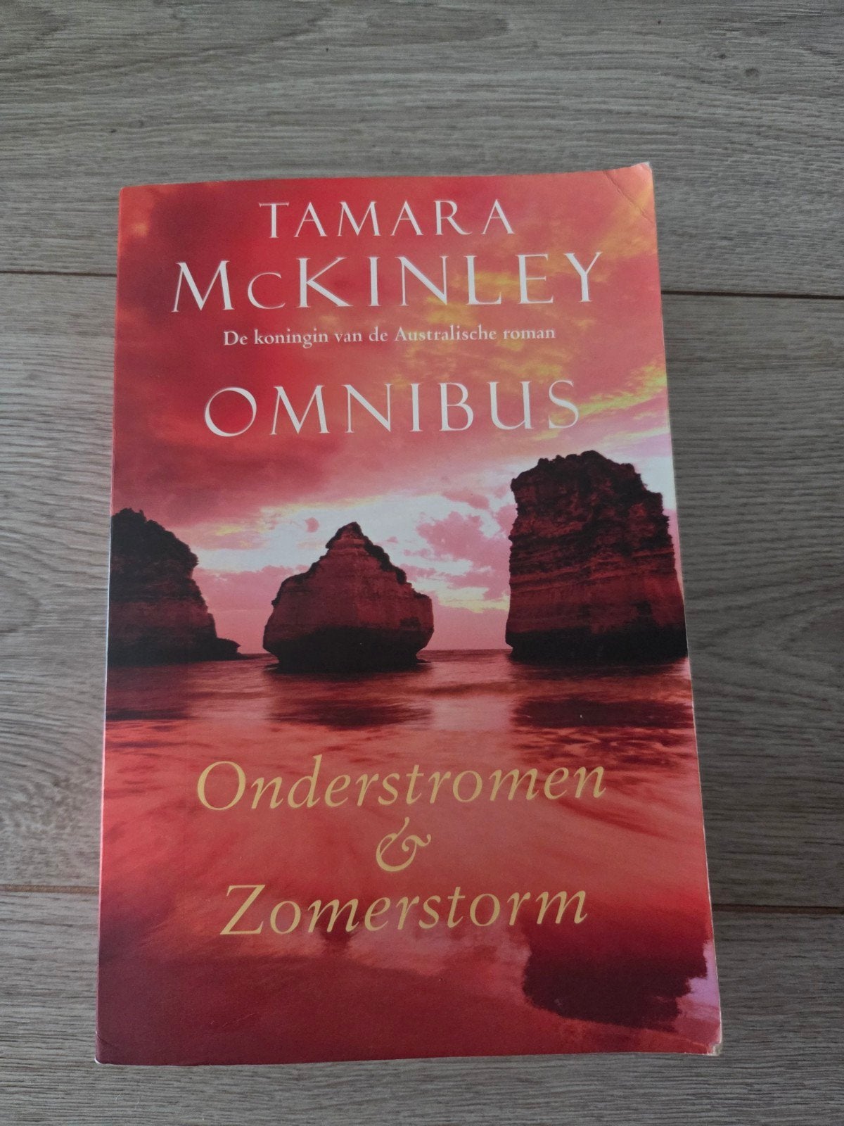Tamara McKinley Omnibus: Onderstromen & Zomerstorm, Ophalen of Verzenden, Gelezen, Tamara McKinley, Nederland