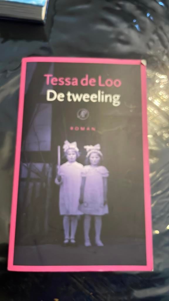Heel goede Roman book ,, Ophalen of Verzenden, Zo goed als nieuw