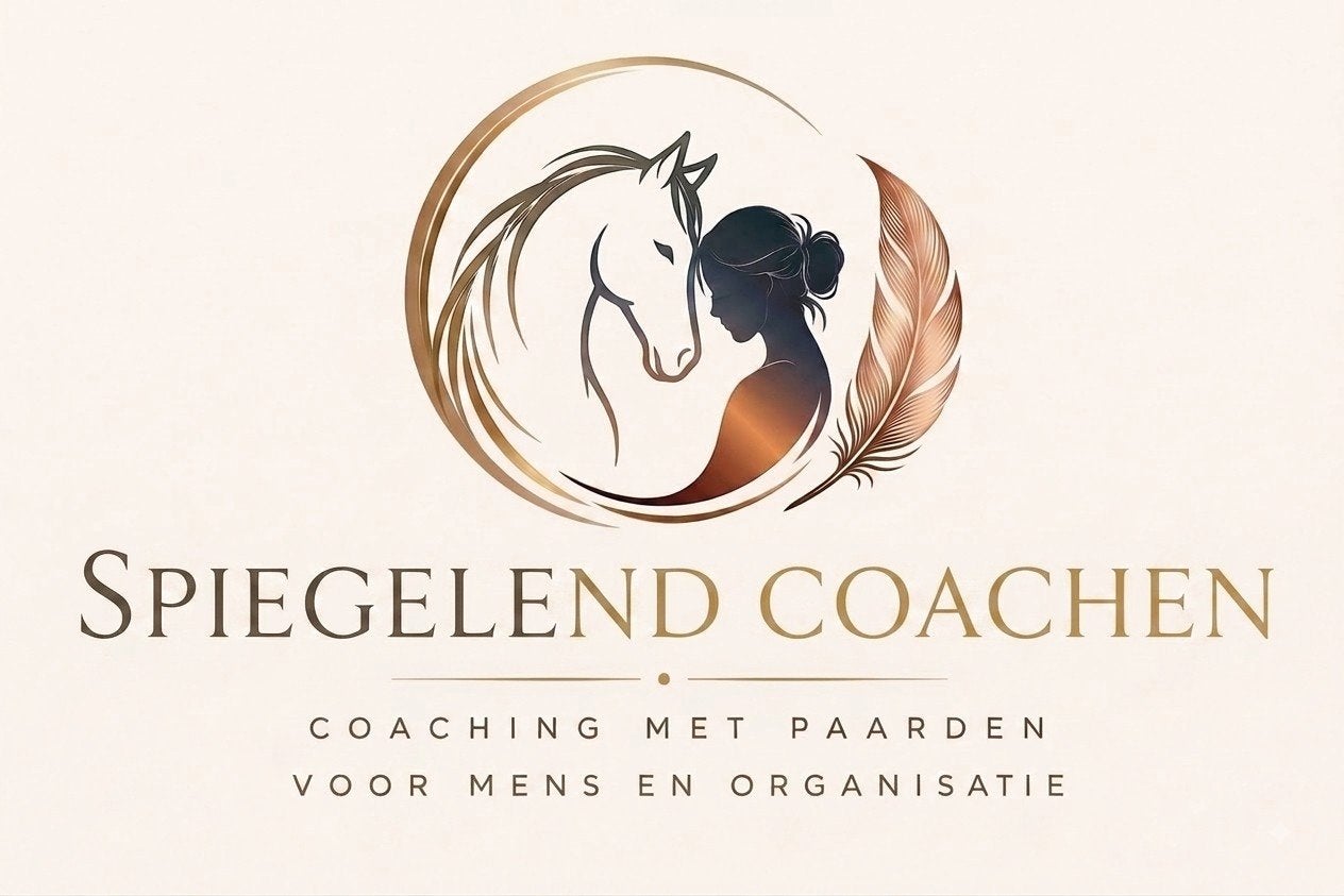 paard/pony + paddock/plek voor paardencoaching, Eén persoon