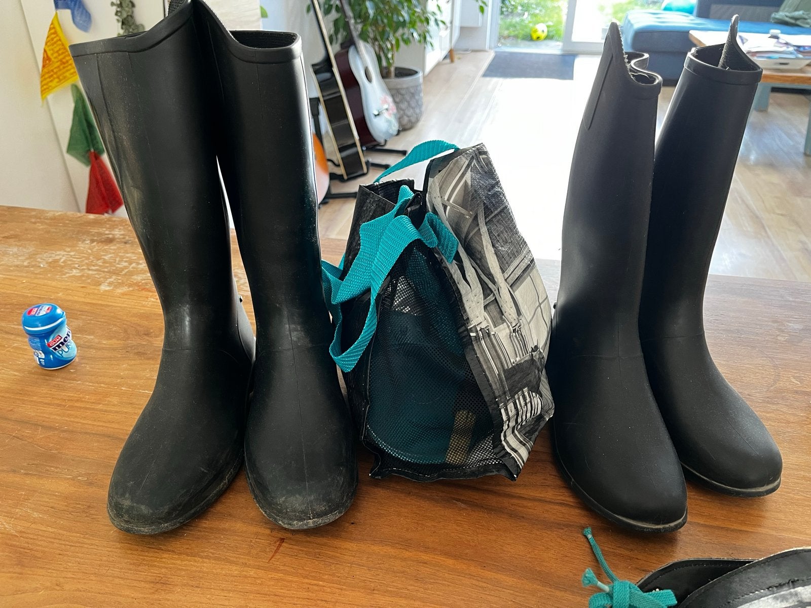 Gratis af te halen: paardrijlaarzen en borstels, Dieren en Toebehoren, Ophalen