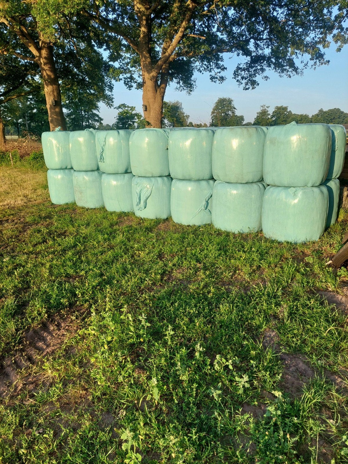 Te koop midibalen, Ophalen, Vee