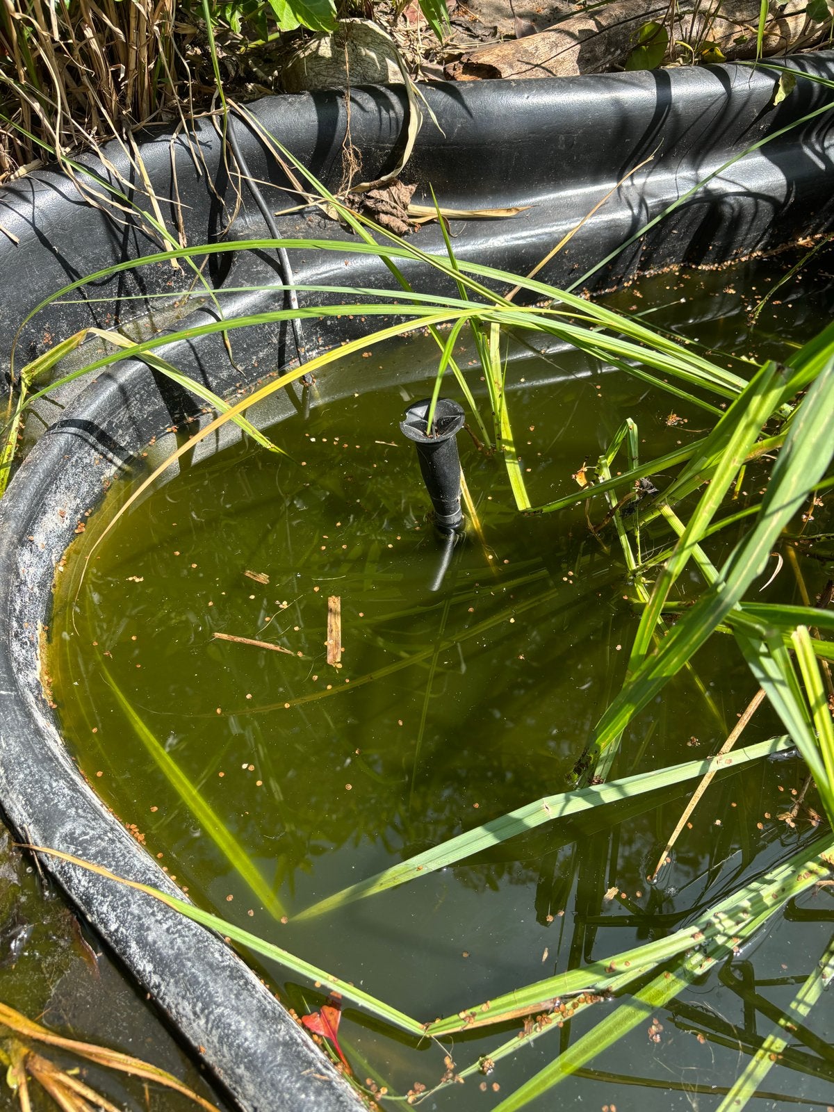 Vijver met salamanders, vissen en fontein, Ophalen, Gebruikt