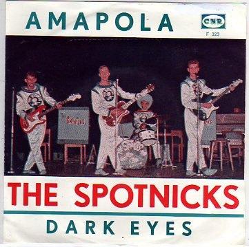 The Spotnicks- AMAPOLA, Cd's en Dvd's, Vinyl Singles, Fotohoes, Verzenden, Zo goed als nieuw, Pop