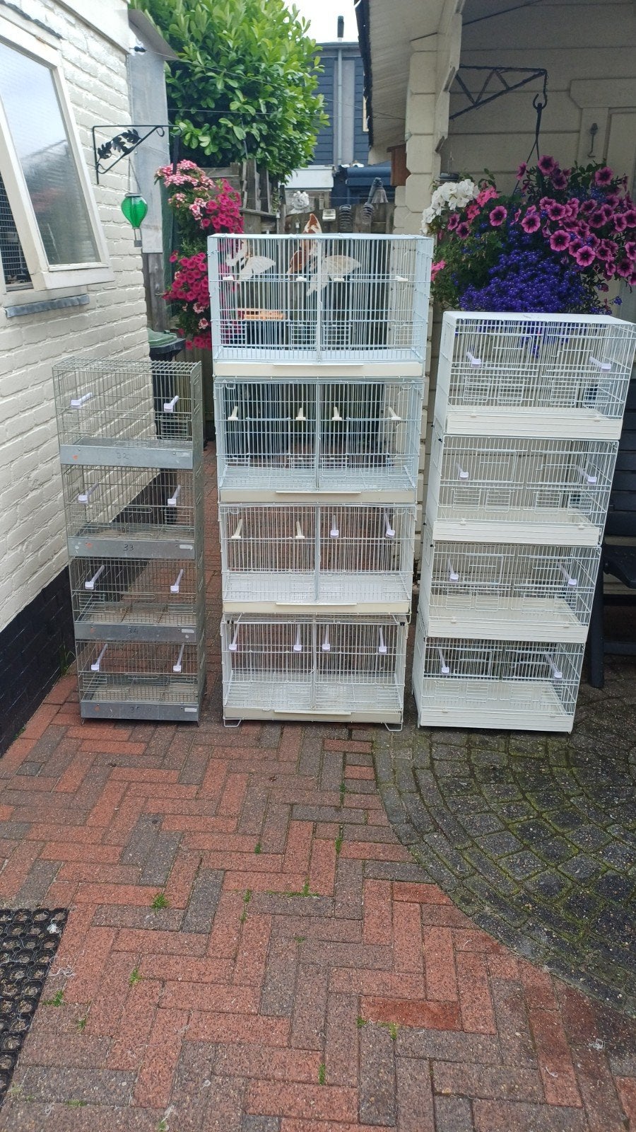 Draadkooien, Ophalen of Verzenden, Hout, Vogelkooi