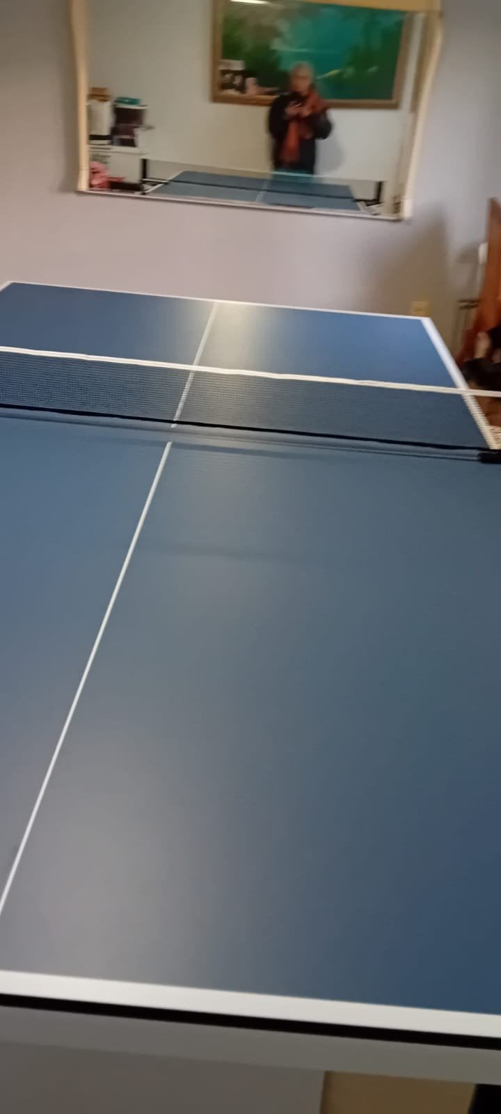 Tafeltennis, Sport en Fitness, Ophalen, Net, Batje(s) of Balletje(s)