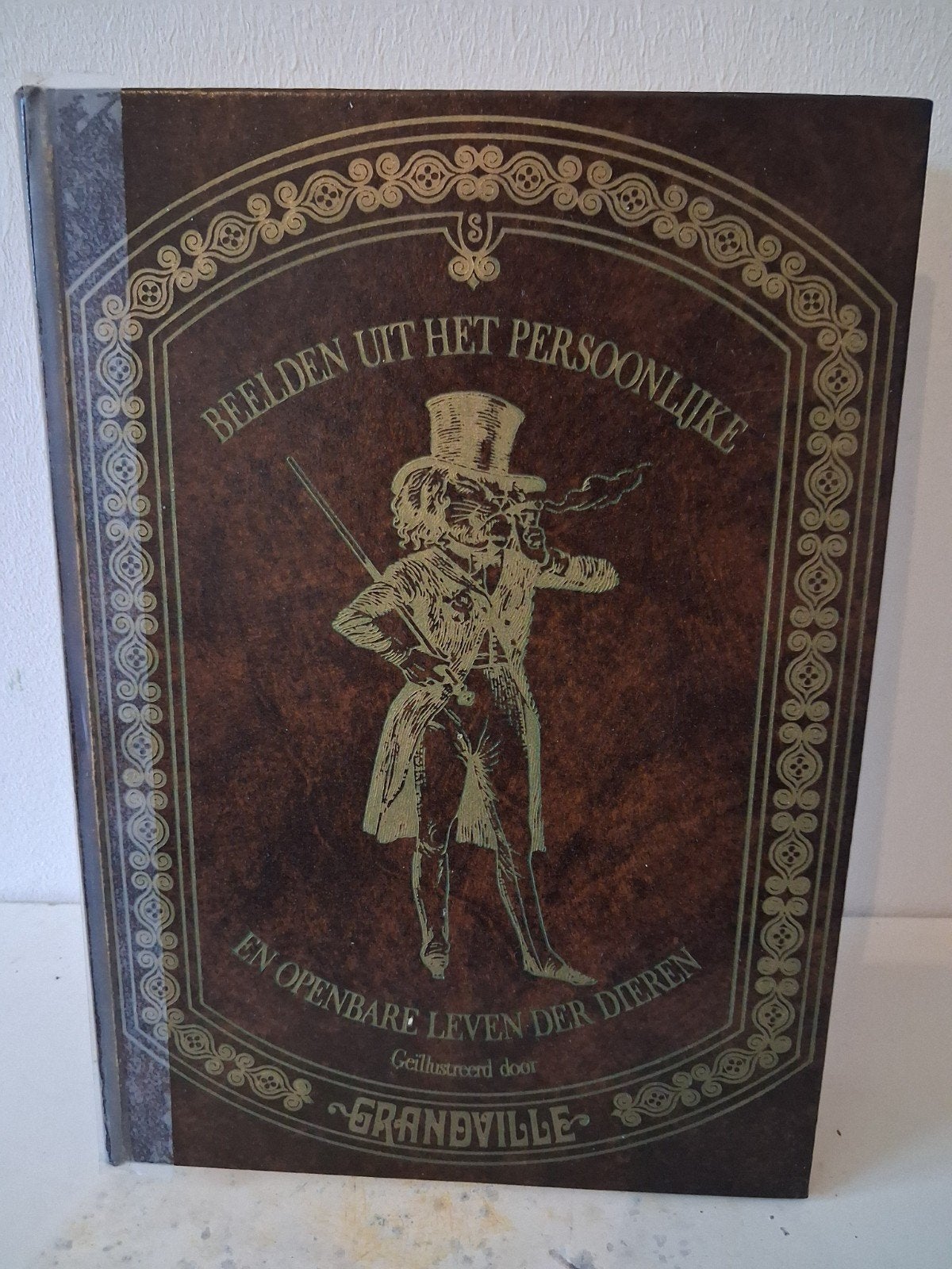 Prachtig klassiek boek: "Beelden uit het persoonlijke en, Boeken, Kunst en Cultuur | Beeldend, Gelezen, Grandville, Ophalen of Verzenden