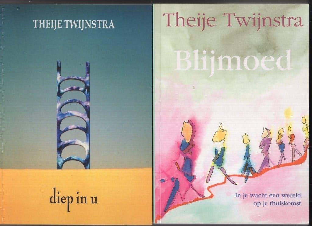 Theije Twijnstra Diep in u & Blijmoed, Boeken, Ophalen of Verzenden, Zo goed als nieuw, Spiritualiteit algemeen, Overige typen