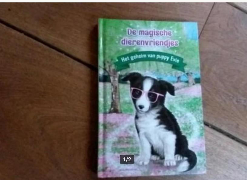 Daisy Meadows, "Het geheim van puppy Evie", Ophalen of Verzenden, Zo goed als nieuw, Fictie algemeen