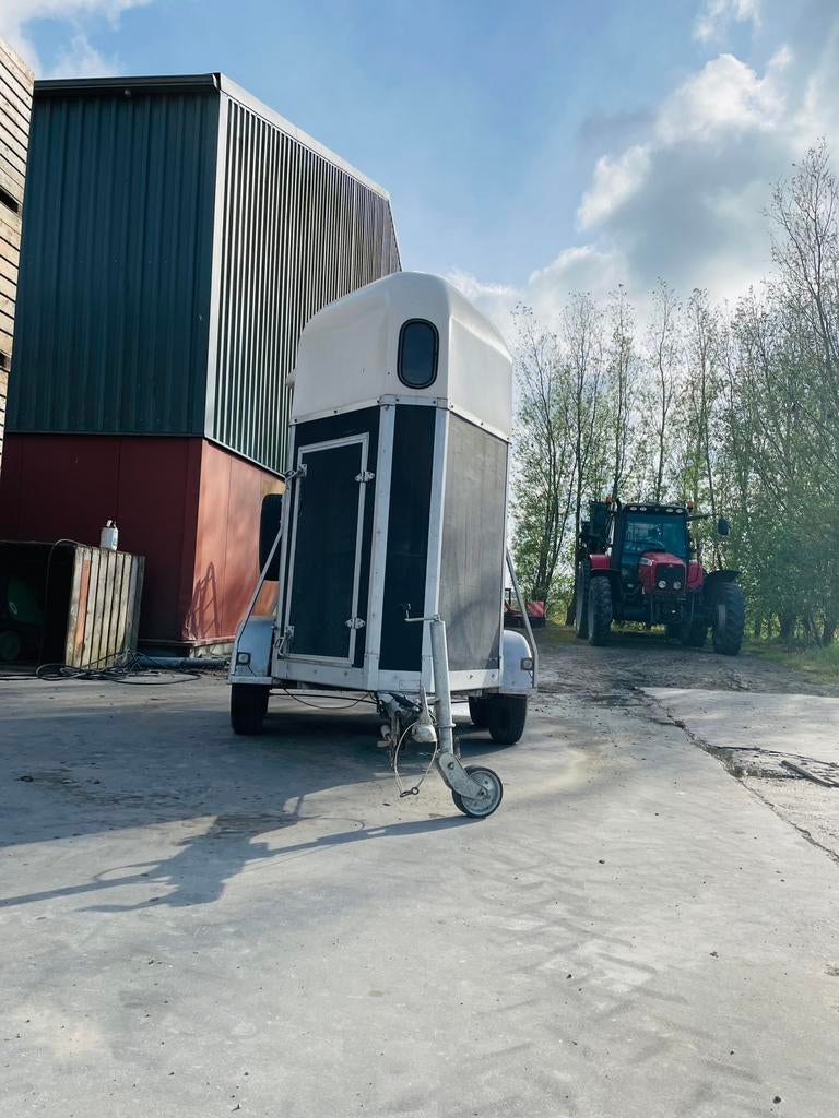 Nette 1,5 paardstrailer, Ophalen, Gebruikt, Hout, 1½-paards trailer