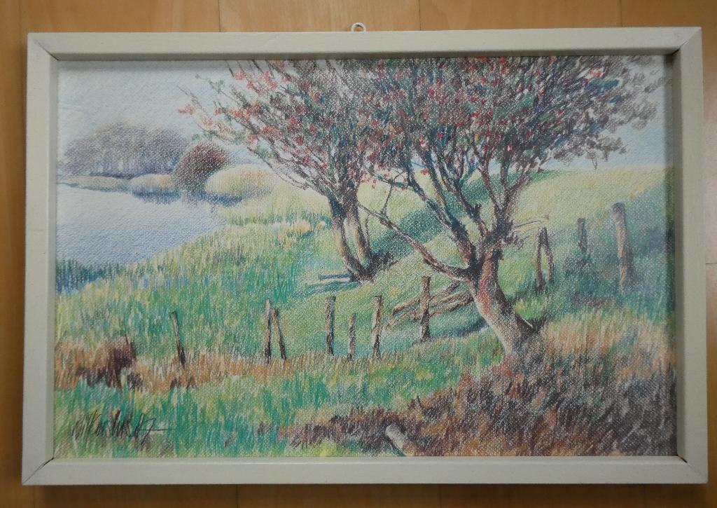 Plaat in houten lijst, Ophalen, Gebruikt, 50 tot 75 cm, Foto of Poster