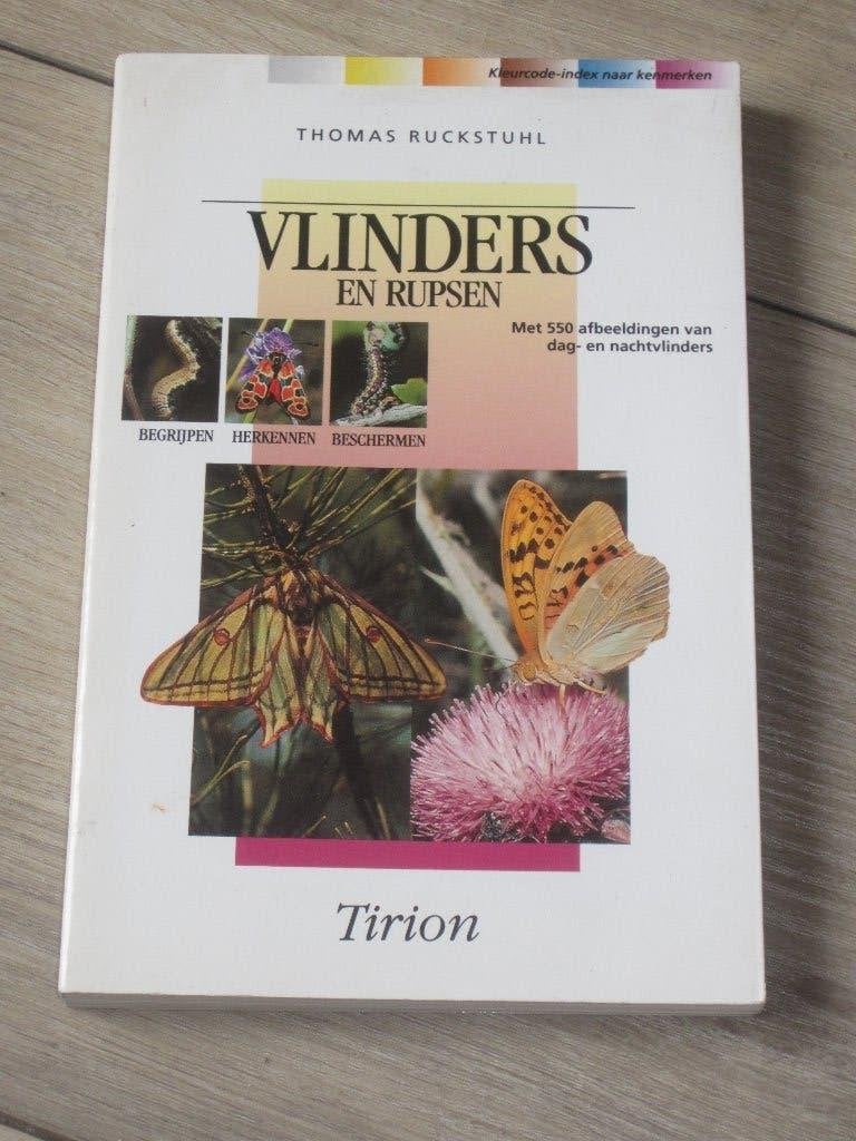 Vlinders en Rupsen - (Praktische gids)., Ophalen of Verzenden, Zo goed als nieuw, Overige onderwerpen