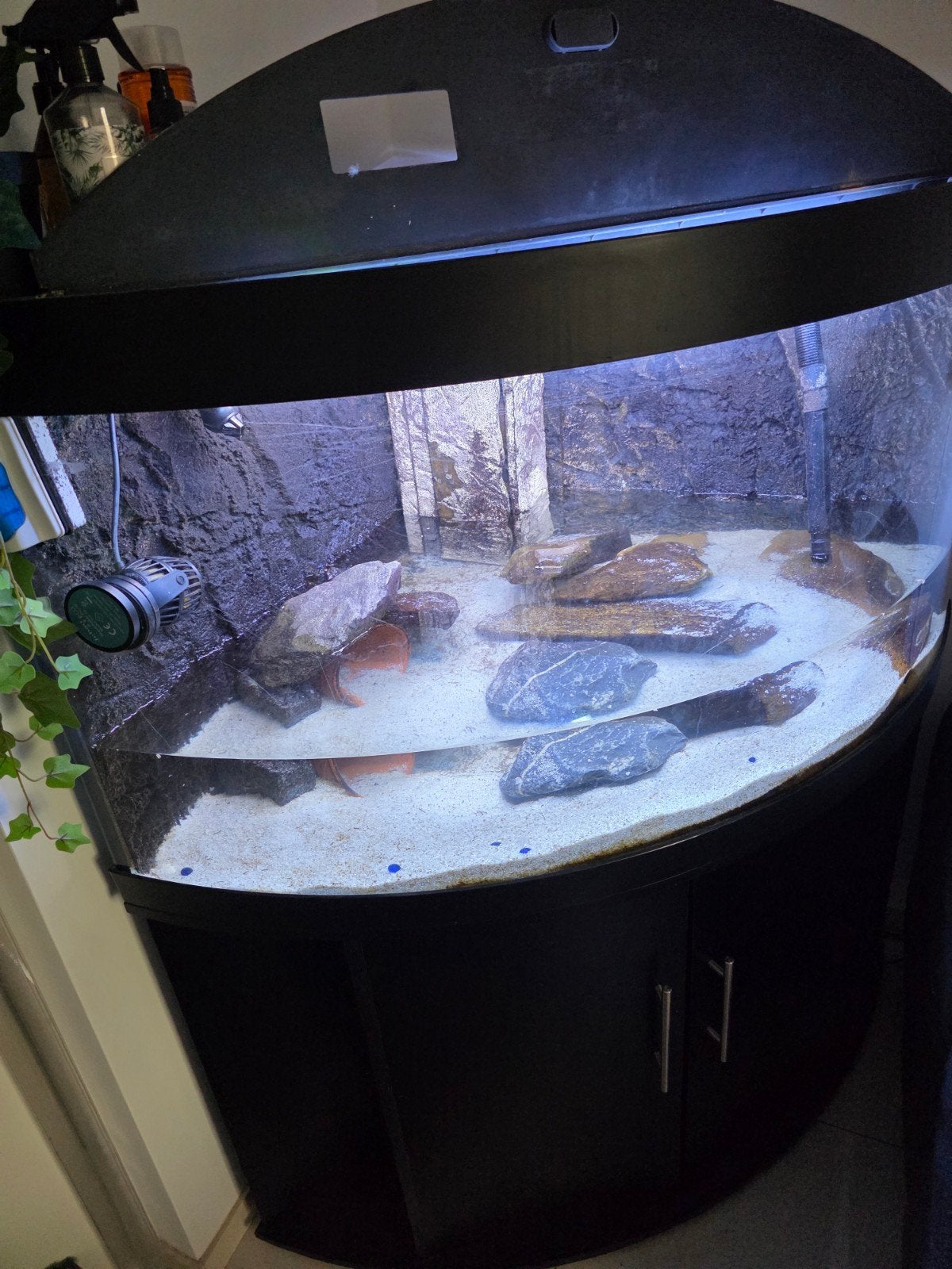 JUWEL TRIGON 350, Ophalen of Verzenden, Inclusief deksel, Leeg aquarium, Juwel