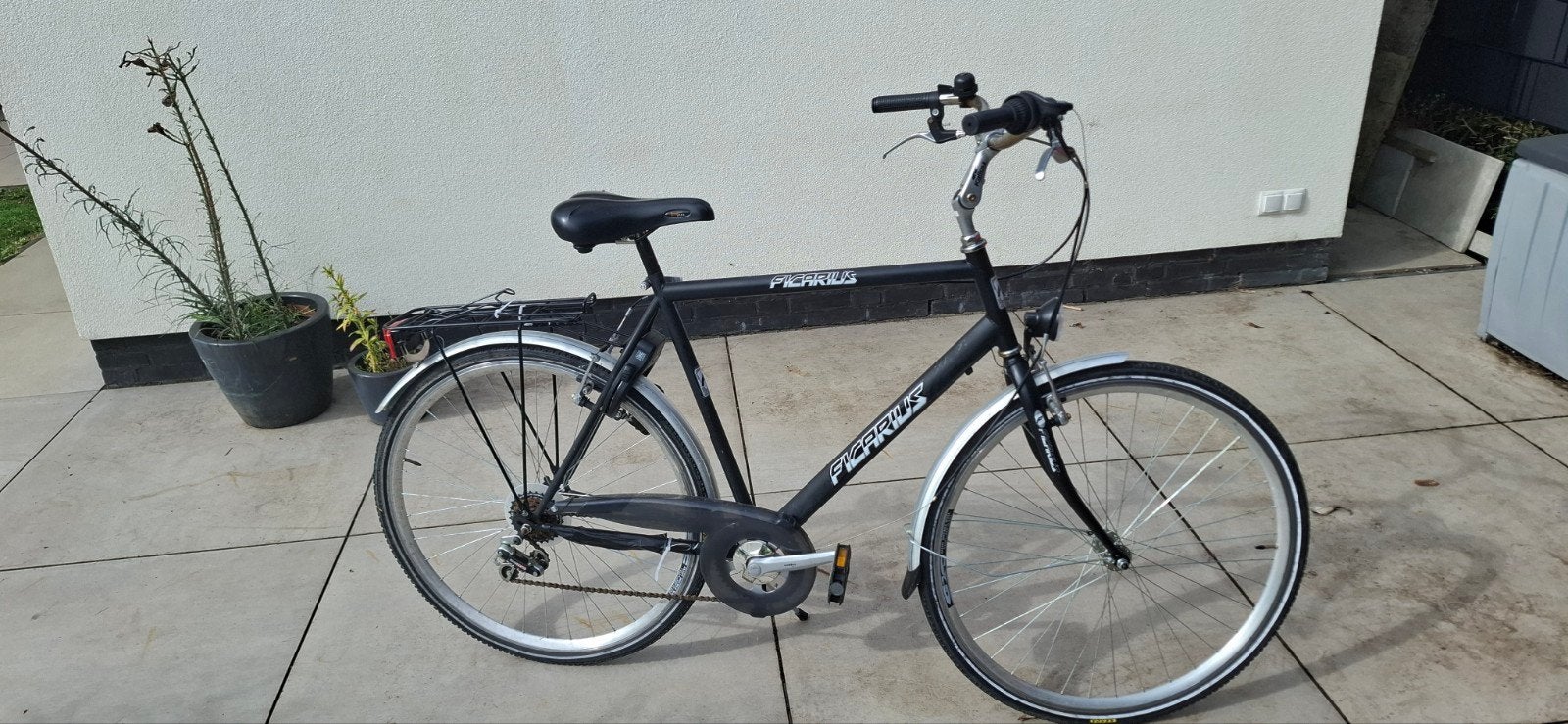Pegasus fiets, maat XL/XXL (180-195 cm), Gebruikt, Velgrem, Versnellingen, 61 tot 65 cm