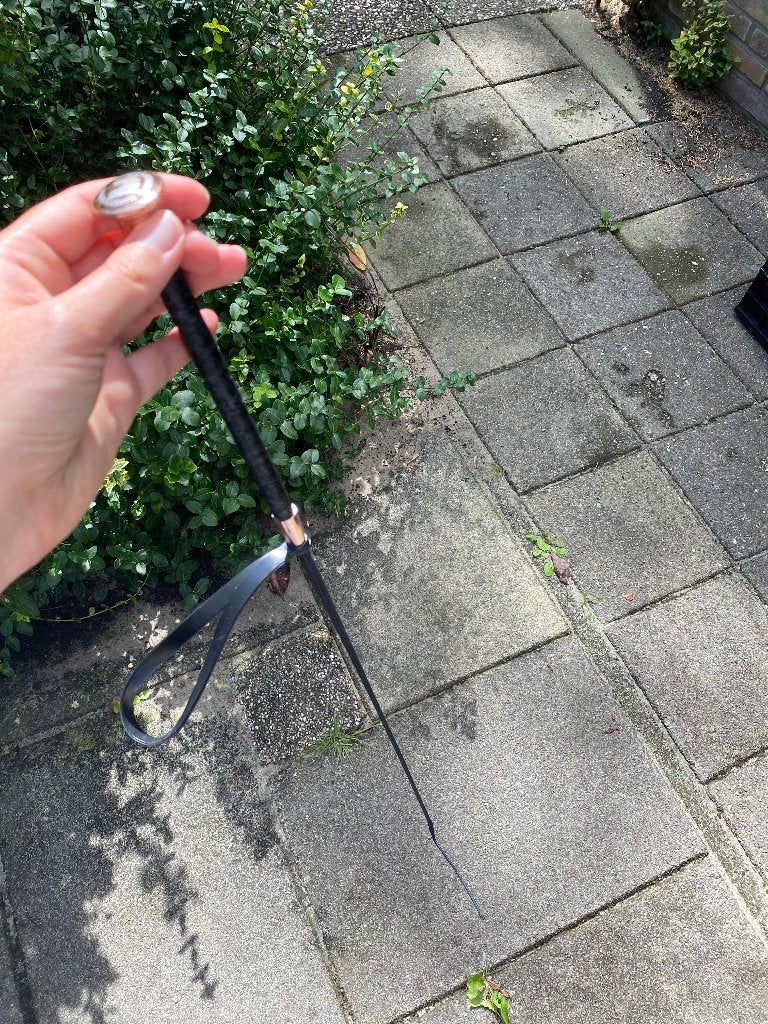 Paardrij zweepje, Ophalen, Zo goed als nieuw, Harry's Horse