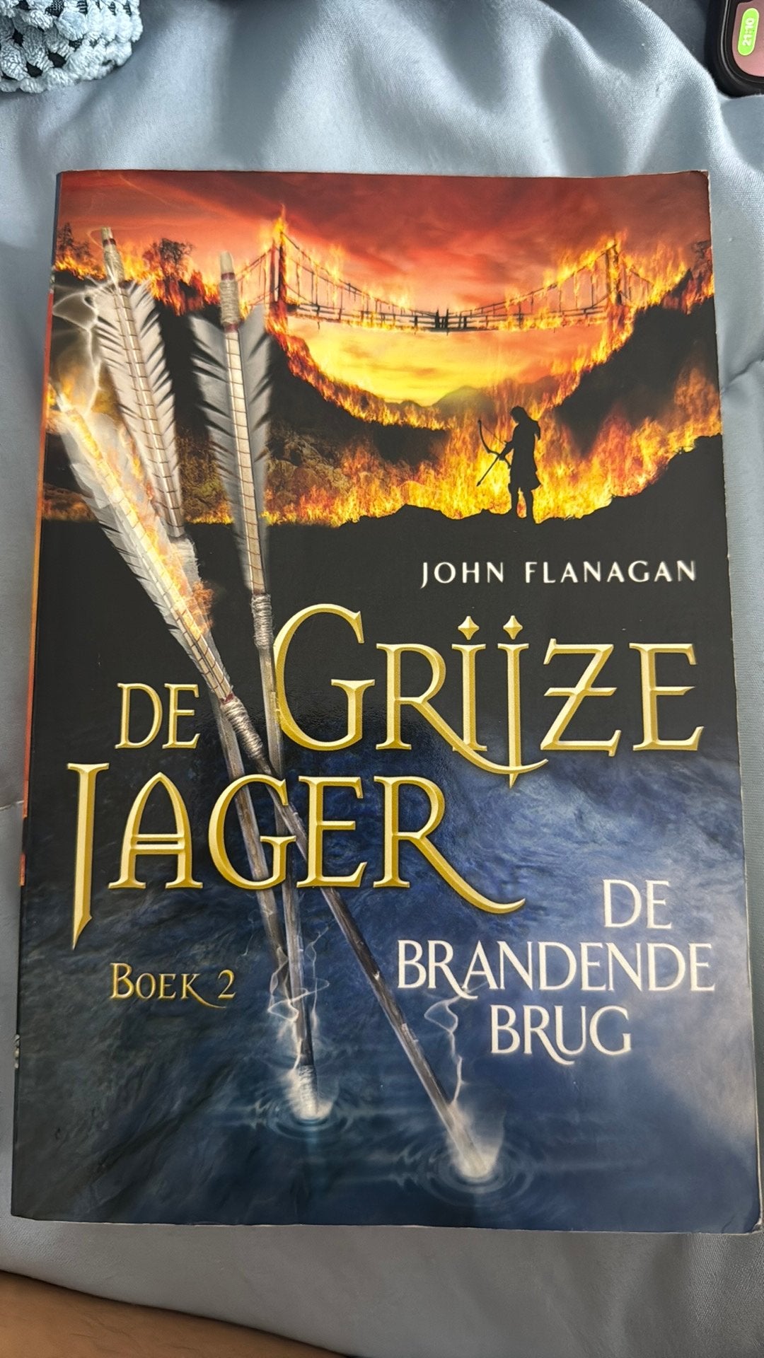 De Grijze Jager, Boeken, Fantasy, Ophalen of Verzenden, Zo goed als nieuw